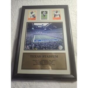 Framed‎ Texas Stadium Photo Marion Barber Julius Jones Roy Williams Football